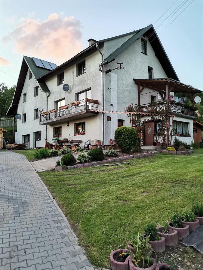 Agroturystyka Pensjonat Paula Мушина Экстерьер фото